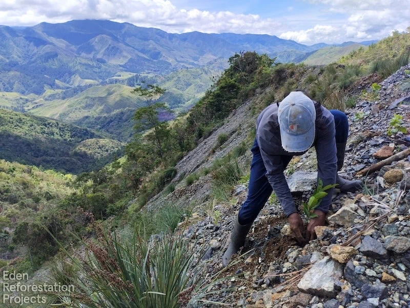 Person planting trees on steep mountainside with dramatic valley and mountain range vista